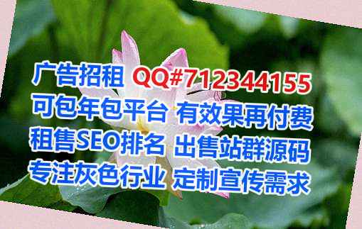 本地卵妹互联网工作室